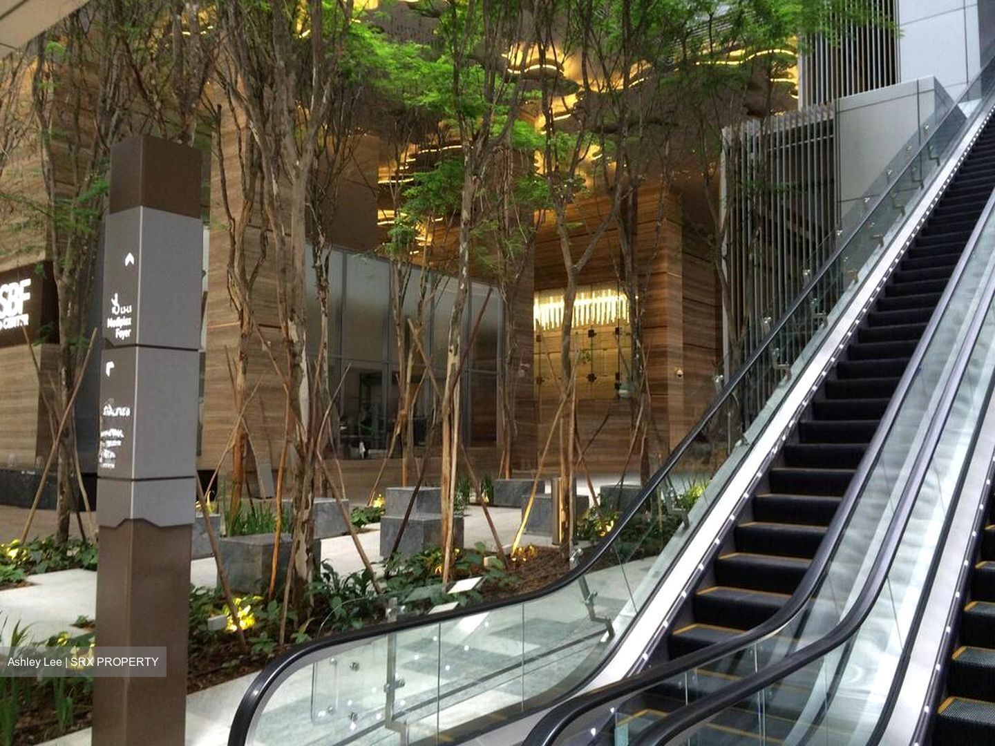 Sbf Center (D1), Office #498752501